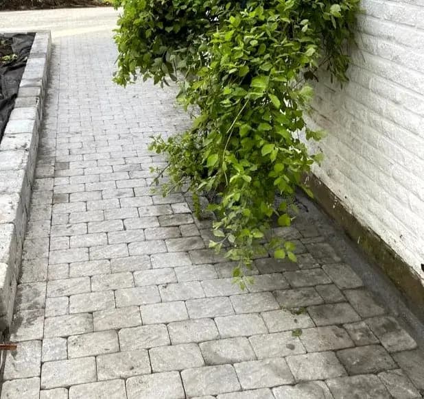 Stenläggning